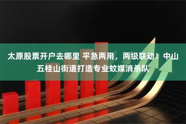 太原股票开户去哪里 平急两用，两级联动！中山五桂山街道打造专业蚊媒消杀队