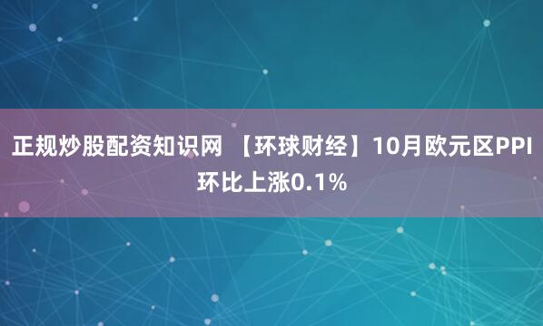 正规炒股配资知识网 【环球财经】10月欧元区PPI环比上涨0.1%