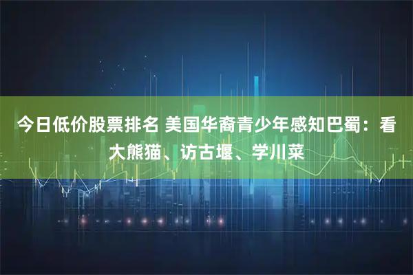 今日低价股票排名 美国华裔青少年感知巴蜀：看大熊猫、访古堰、学川菜